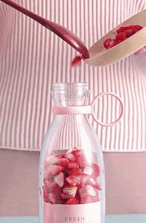 VitaPulse Mini Blender